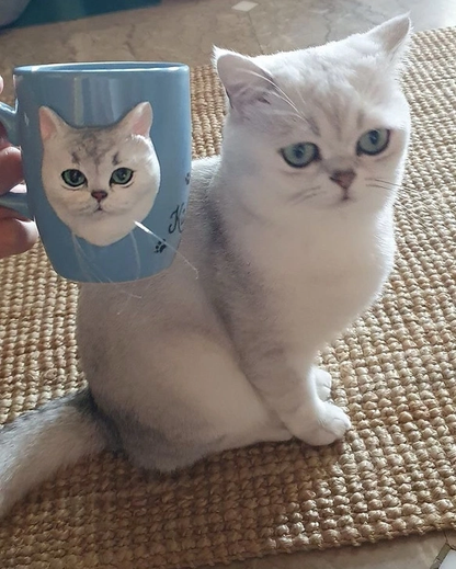 Custom Pet Figurine Mug from Photo - uDesign Gift