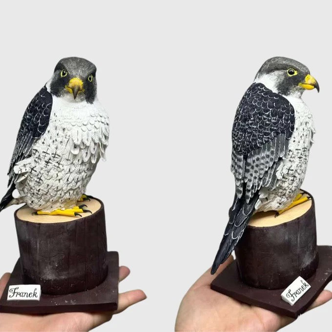Two taxidermy falcons on stands held by hands against a white background