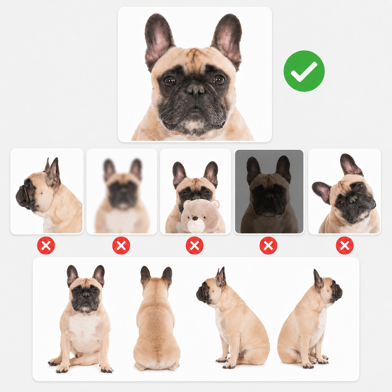 Custom Pet Figurine from Photo - uDesign Gift